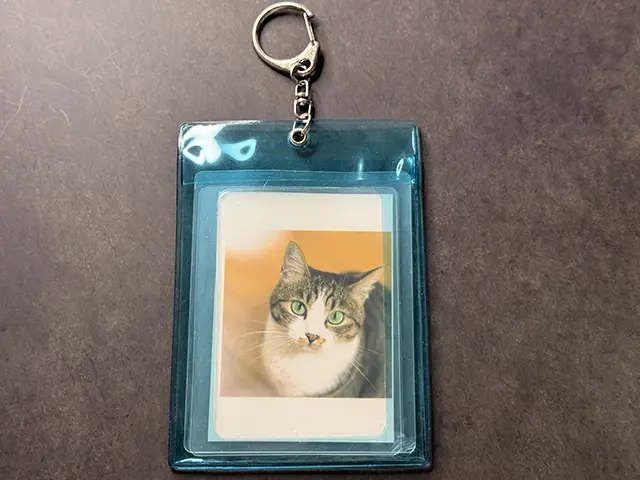 ダイソーのカードホルダー(CardHolder)にコンビニの写真プリントを入れる